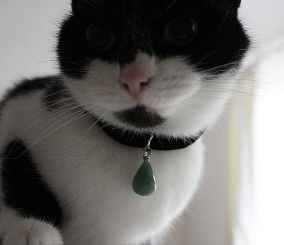 gemstone cat collar