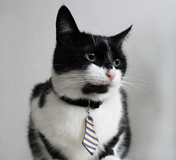 Black Velvet Cat Collar with Bow tie