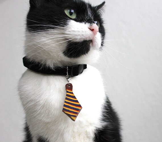cat necktie collar