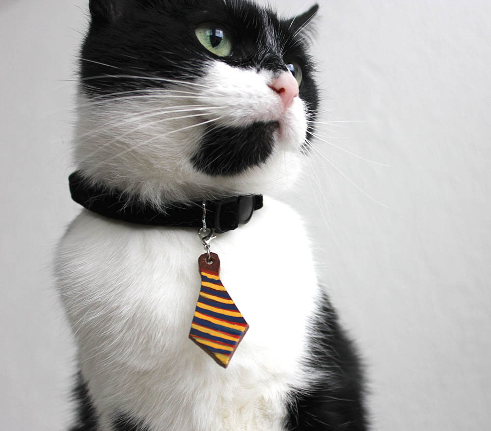 unique cat collars