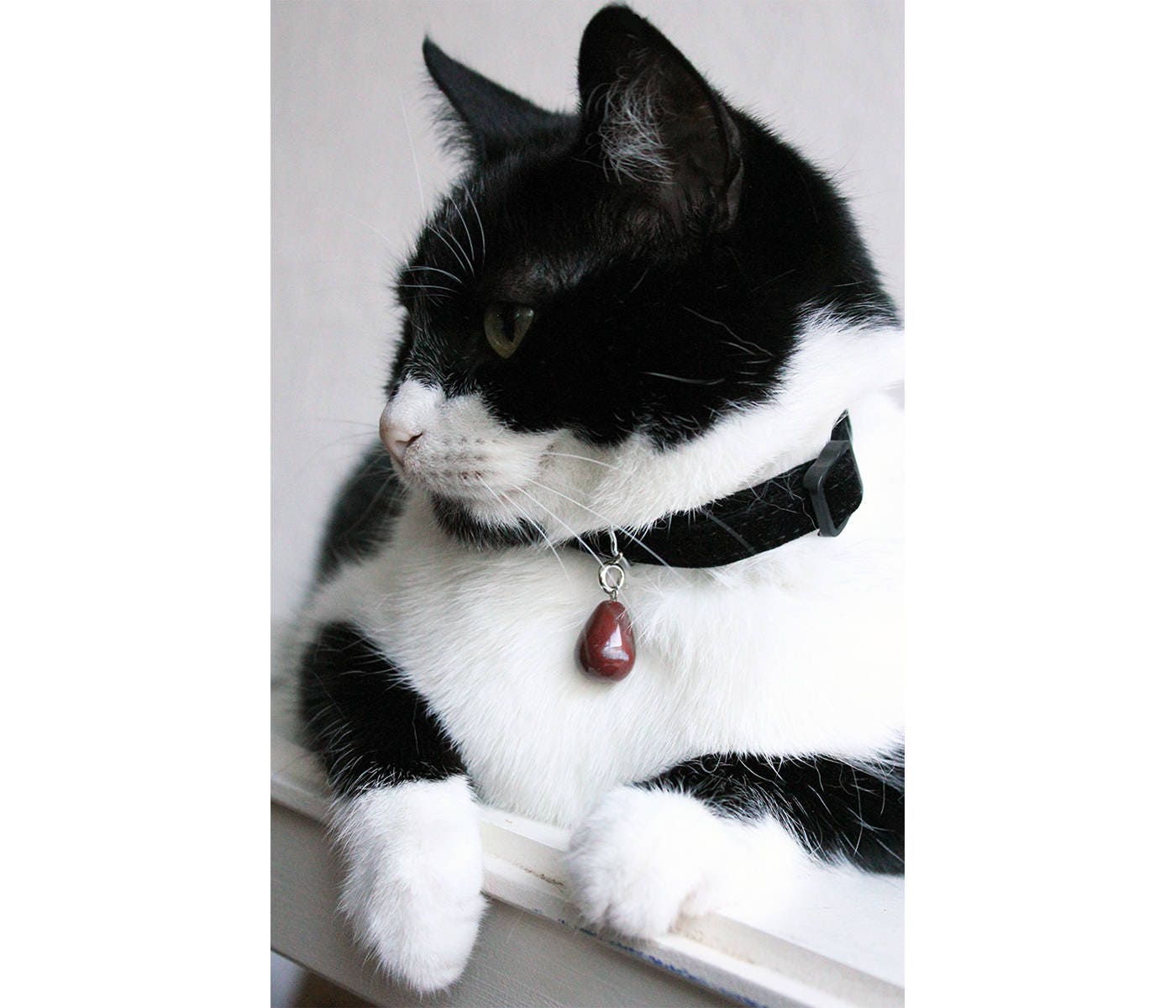 gemstone cat collar