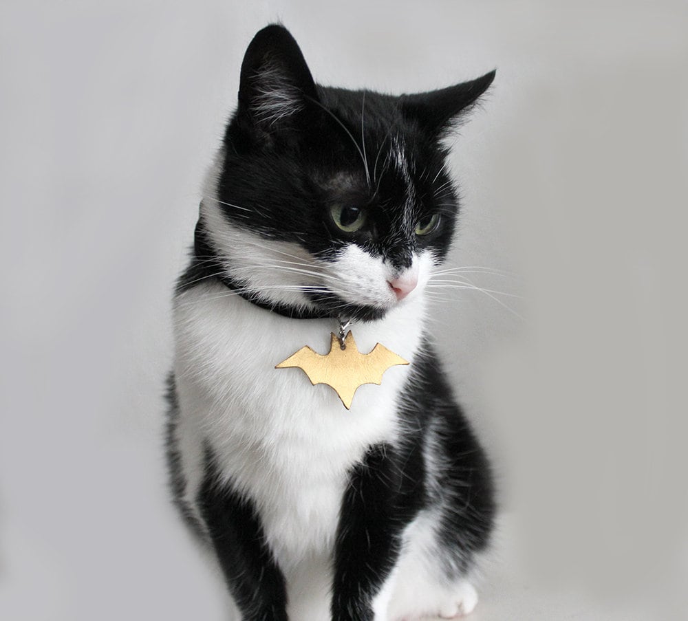 Black Velvet Cat Collar With Leather Golden Bat Batman Golden Leather Pet Tag pet Collar designer Cat Collar unique Cat Collar leather Tie Etsy