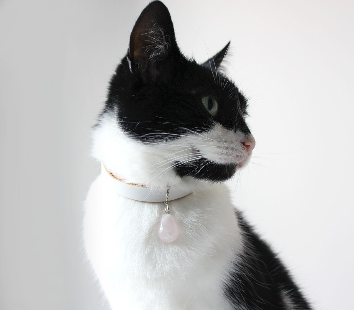 Collier De Chat En Cuir Blanc De Luxe Avec Numero De Telephone Personnalise De Pierre Gemme De Quartz Rose Ou Bijoux De Chat De Cristal De Guerison