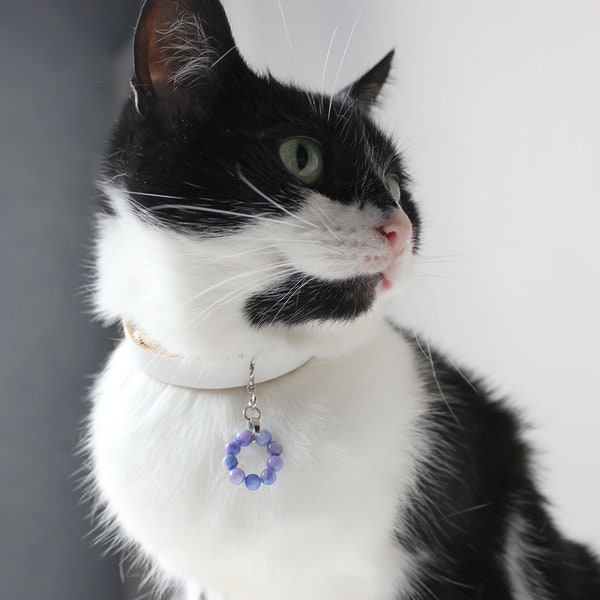 Collier chat fantaisie en cuir blanc avec bleu-bijou en nacre de perles-personnalisé, chat collier-chakra animaux bijoux-Break Away col