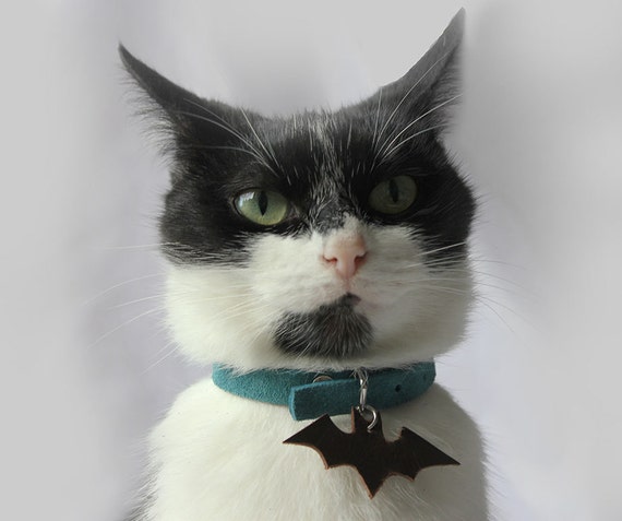 Blue Suede Cuir Cuir Chat Collier Chauve Souris Chats Collier Etsy Blue Suede Cuir Cuir Chat Collier Chauve Souris Chats Collier Etsy