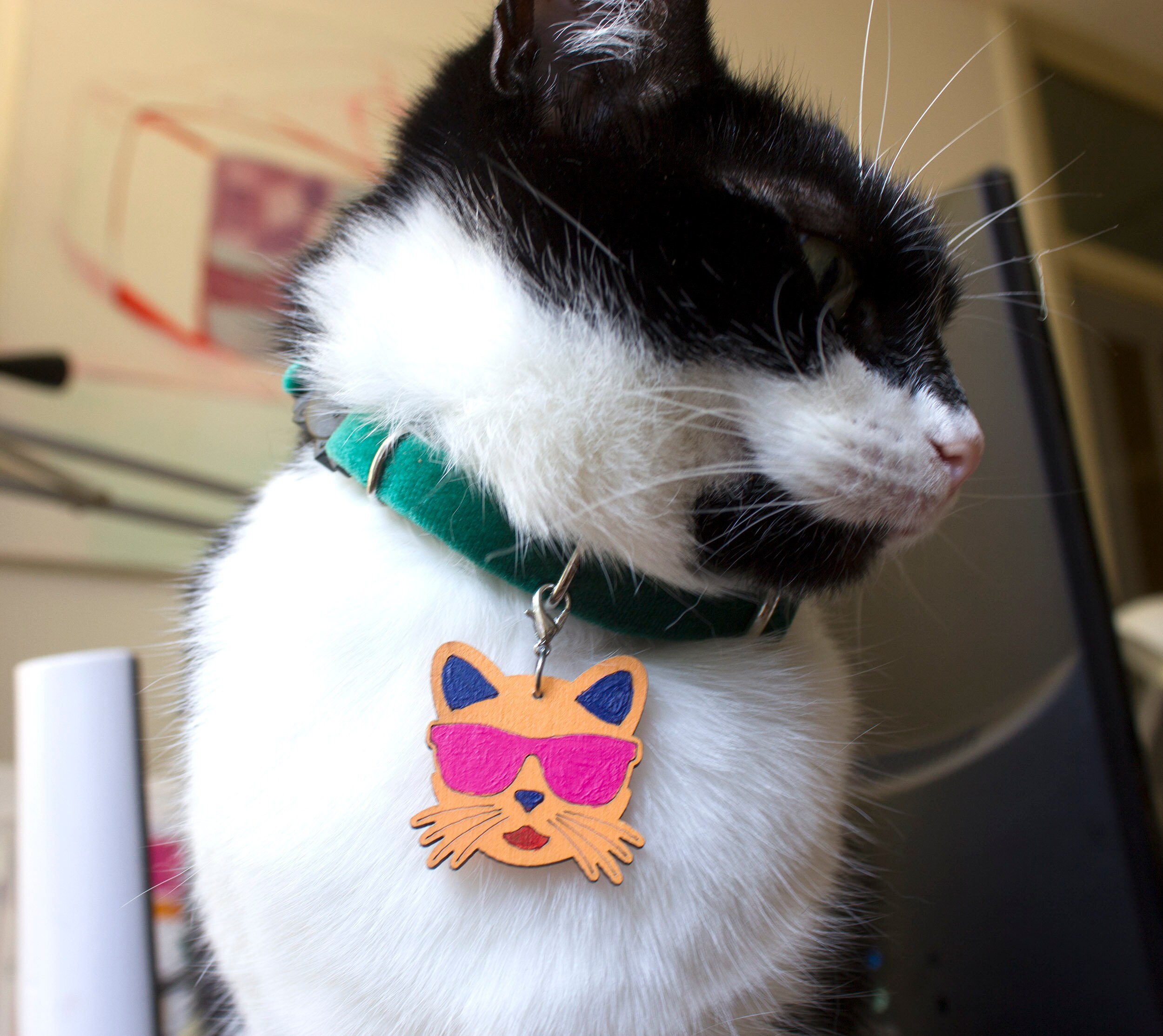emerald cat collar