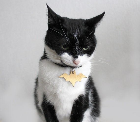 Black Velvet Cat Collar with Bow tie