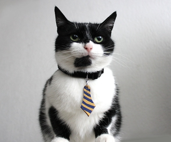 Black - Designer LV Bowtie Cat Collar Pu Leather