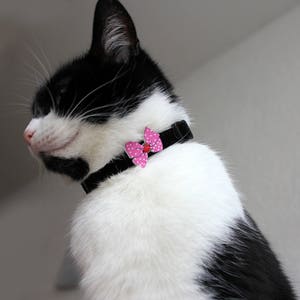 Collare di gatto gatto collare-nero velluto con nastro rosa in legno tag pulsante-sicurezza sgancio rapido separatista fibbia-gatto bow tie
