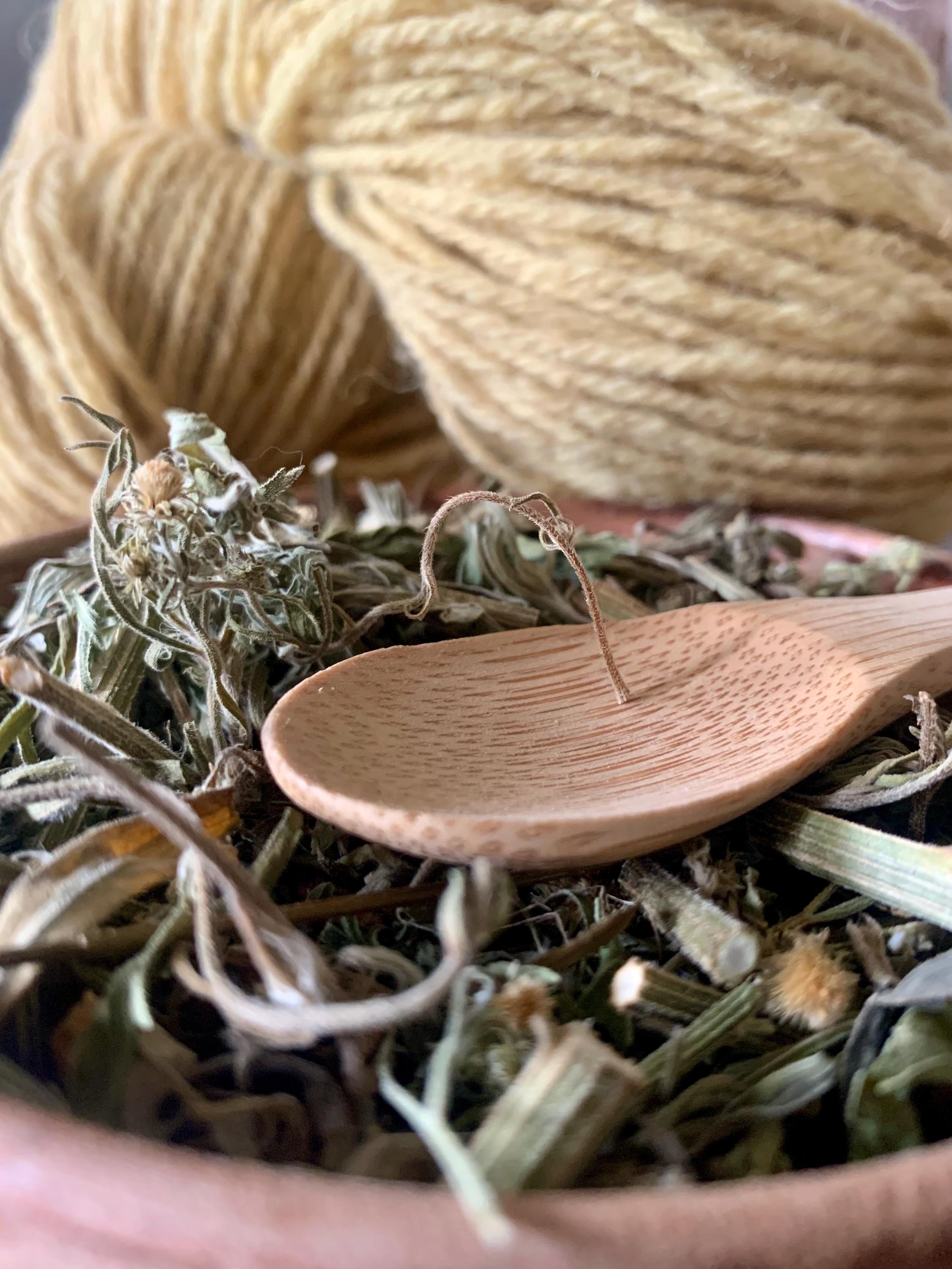 Cynorhodons (Rose Musquée) Entiers Séchés, Récolte 2025, Bio - Neufs