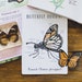Monarch Butterfly Anatomy Homeschool Printables Homeschool | Etsy