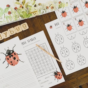 Ladybug Mini Unit Study / Educational Printables / Coccinelle / Montessori / Bugs Mini Unit Study