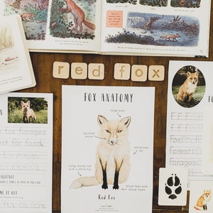 Fox Mini Unit Study | Educational Printables | Forest Animals | Montessori