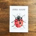 Ladybug Anatomy Printables Homeschool Resources Ladybugs Montessori ...