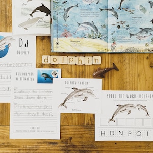 Dolphin Lesson | Printables | Dolphin Mini Unit Study | Homeschool Resources | Earth | Learning | Ocean School | Sea Life