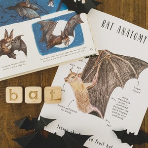 Bat Anatomy | Homeschool Printables | Homeschool Resources | Bats | Animals | Montessori Cards | Learning Cards