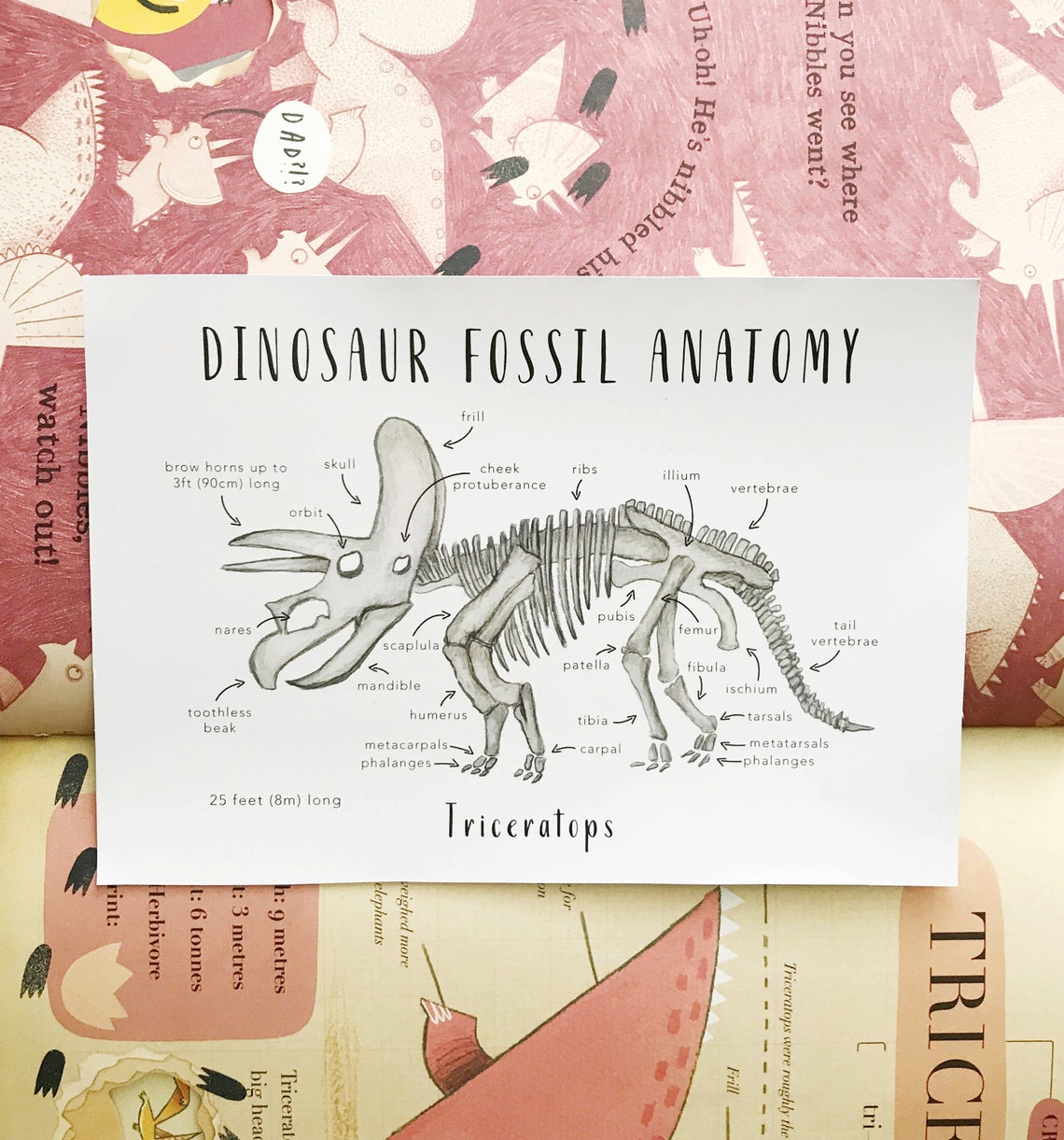 Dinosaur Fossil Anatomy Printables Homeschool Resources - Etsy Australia