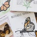 Monarch Butterfly Anatomy Homeschool Printables Homeschool Resources ...