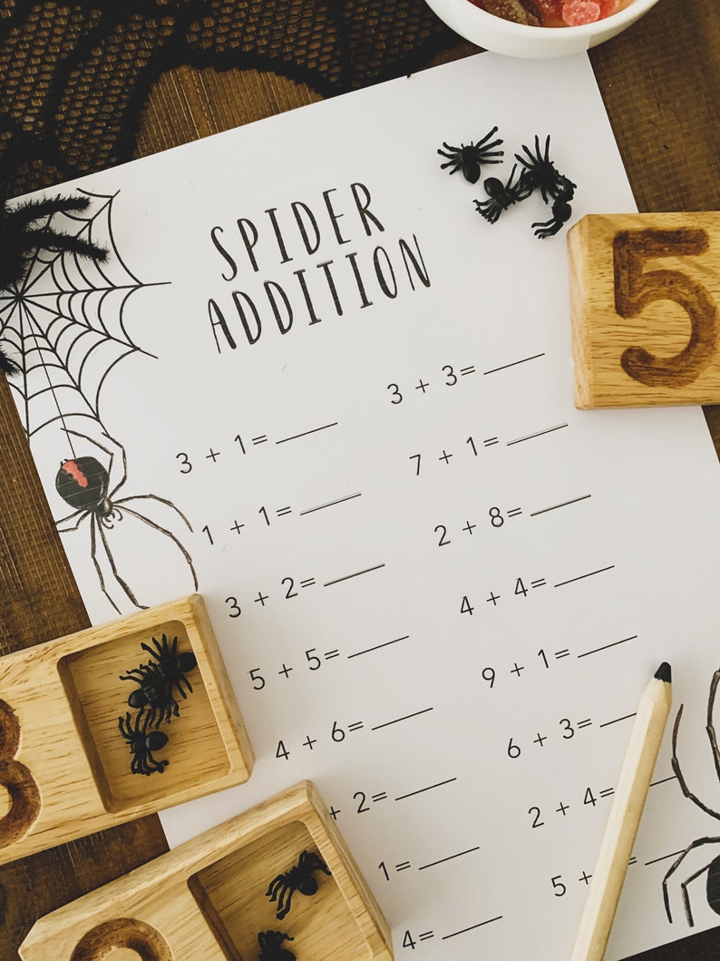 Spider Anatomy Homeschool Printables Homeschool Resources | Etsy