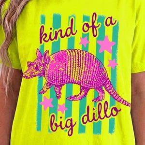 Kind of a Big Dillo PNG, Funny Armadillo Shirt Design, Southern Country Graphic Tee, Retro Boutique Sublimation PNG, Cute Texas Animal
