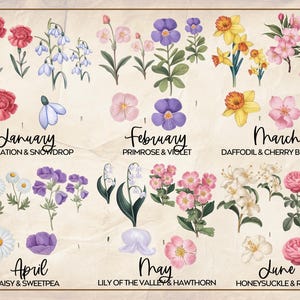 Puede incluir: Una ilustraci&oacute;n de estilo vintage de flores que representan cada mes del a&ntilde;o. Enero presenta claveles y campanillas de invierno, febrero presenta pr&iacute;mulas y violetas, marzo presenta narcisos y flores de cerezo, abril presenta margaritas y guisantes de olor, mayo presenta lirios del valle y espino blanco, y junio presenta madreselva y rosas.