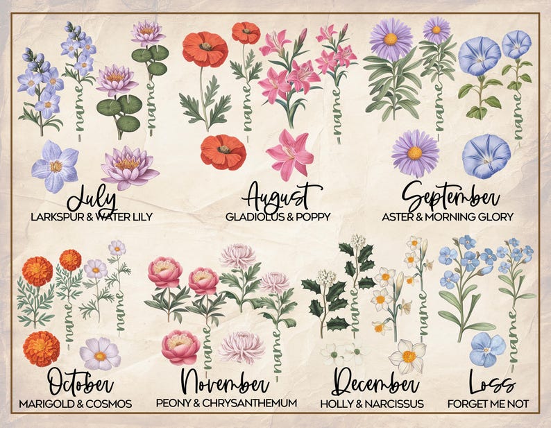 Puede incluir: Una ilustraci&oacute;n de estilo vintage de flores que representan cada mes del a&ntilde;o. Las flores se representan en un estilo bot&aacute;nico con sus nombres y el mes que representan. Los meses son julio, agosto, septiembre, octubre, noviembre, diciembre y p&eacute;rdida. Las flores son espuela de caballero y lirio de agua, gladiolo y amapola, aster y gloria de la ma&ntilde;ana, cal&eacute;ndula y cosmos, peon&iacute;a y crisantemo, acebo y narciso, y no me olvides.
