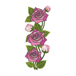 Könnte beinhalten: Eine vertikale Anordnung von rosa Rosen mit grünen Blättern und Knospen. Die Rosen sind in voller Blüte und haben ein zartes, weibliches Aussehen.