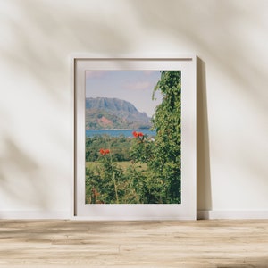 Hanalei Overlook 35mm Color Film Photography Print, Hawaii Gift, Hawaii photo, Hawaii photography, kauai photo, tropical landscape