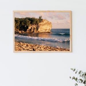 Shipwreck Beach, Kauai on 35mm Film, Hawaii beach print, beach print, beach lovers, tropical art, local artist, colored film, kauai art