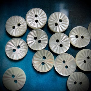 20 botones de concha blanca de 11,5 mm hechos de concha de trochus - Botones de concha - Bellamente tallados