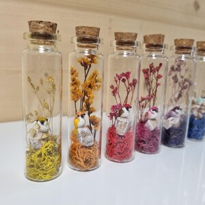 Peut inclure: Plusieurs bouteilles en verre avec des bouchons en liège, chacune contenant un oiseau miniature, des fleurs séchées et de la mousse colorée. Les bouteilles présentent divers arrangements floraux aux tons jaunes, oranges, rouges et violets, créant un affichage décoratif.