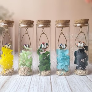 May include: Five glass terrarium bottles with cork stoppers, each containing colorful dried flowers and a small bird figurine. The flowers are yellow, green, dark green, blue, and black. The bottles are filled with small pebbles.