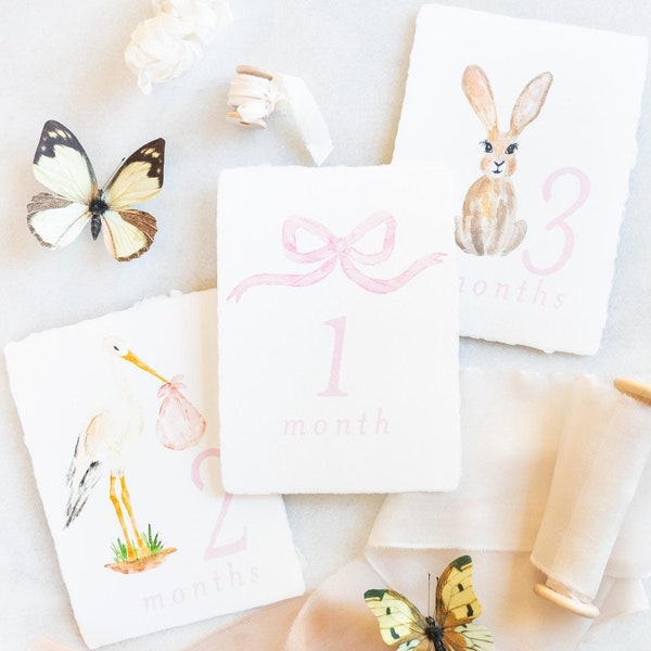 Watercolor Bow, Bunny, Stork Handmade Paper or Cardstock Milestone Baby Photo Prop Months 1-12