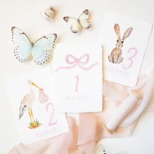 Monthly Milestone Cards Watercolor Bow, Stork, Bunny Baby Set of 12 Months on Handmade Paper or White Cardstock Pink Blue Yellow Green Handmade Paper