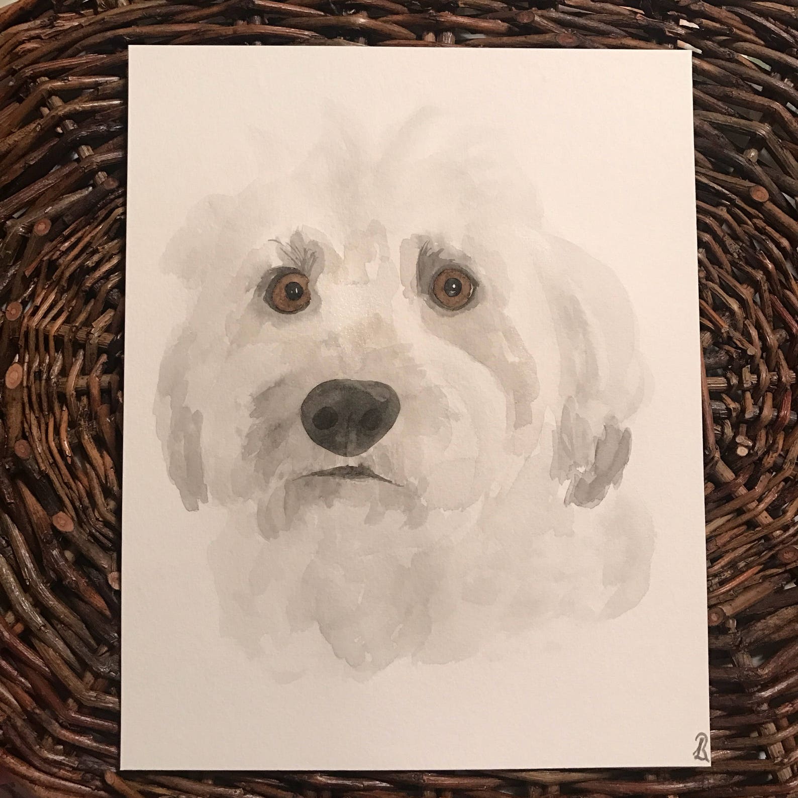 Custom Watercolor Pet Portrait Etsy