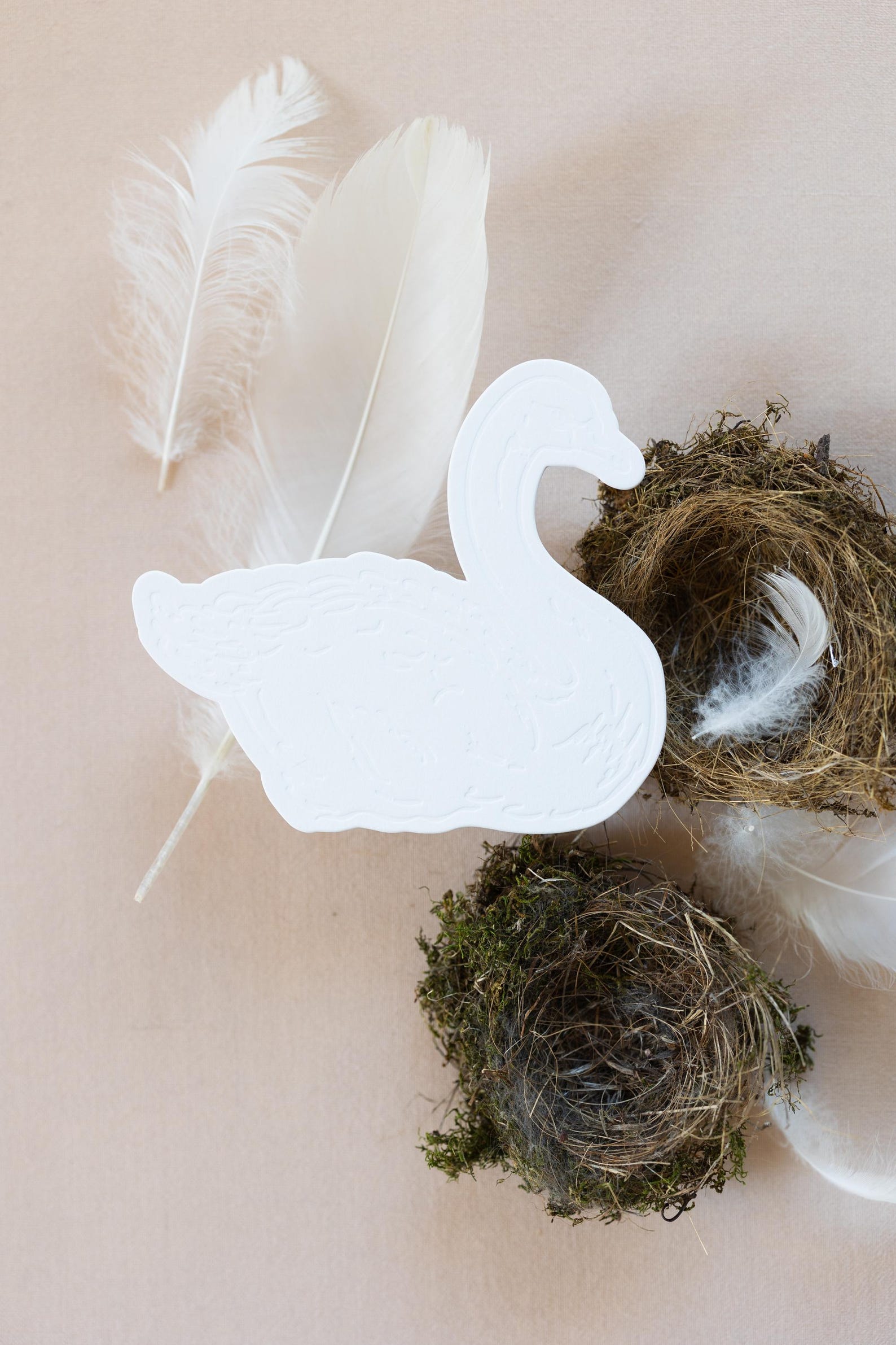 Swan Note Cards | Die Cut and Blind Letterpressed on White Cotton ...