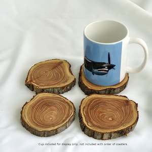 Coasters, Wood, Rustic, Chinaberry, Bark Included, Set of 4 coasters
