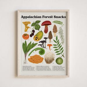May include: A colorful illustrated poster titled "Appalachian Forest Snacks" featuring various edible plants and mushrooms found in the Appalachian region. The poster includes a key with numbers corresponding to each item, such as ramps, black morel, persimmon, red chanterelle, and black trumpet.