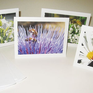 Bee Notecards, 8  cards with 2 each of 4 designs, Treasured Relationship Notecard Set, Bee Note Cards, Gift for Beekeeper, Bees on Flowers