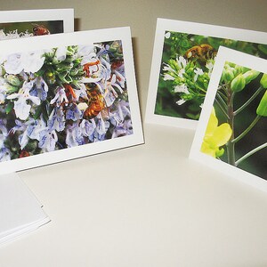 Abeille Notecards, 8 avec 2 chacun de 4 modèles, abeille cartes, intemporel relation Notecard ensemble, abeille sur une fleur, cadeau pour apiculteur, photographies de l’abeille