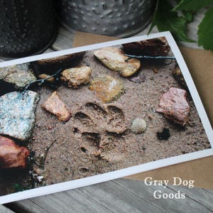 Carte de sympathie de chien, photographie de chien, carte de voeux de chien, impression durable