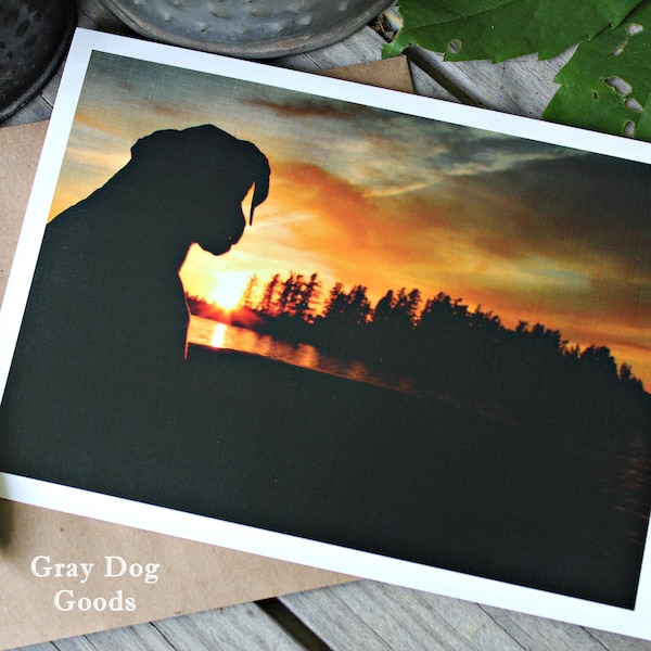 Dog Greeting Card, The Great Hunter, Dog Photography, German Shorthaired Pointer