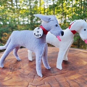 Pu&ograve; includere: Due giocattoli per cani in feltro, uno grigio e uno bianco, con collari rossi e targhette con il nome. Il cane grigio ha una targhetta che dice "Belle".