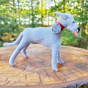 Pu&ograve; includere: Un giocattolo per cani in feltro grigio con un collare rosso e un'etichetta argentata che dice "Belle" con un simbolo di cuore. Il cane &egrave; in piedi su una superficie di legno.