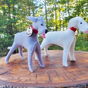 Pu&ograve; includere: Due giocattoli per cani in feltro, uno grigio e uno bianco, con collari rossi e un'etichetta argentata che dice "Bell" sul cane grigio.