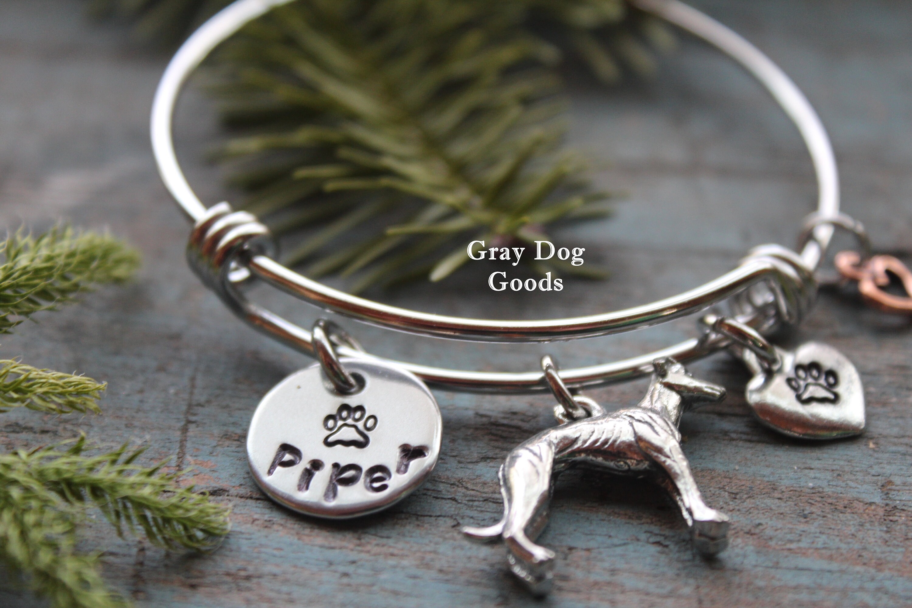Does Greyhound Accept Prison Id Bracelets In Virginiapodcast All - 9ihf2ar