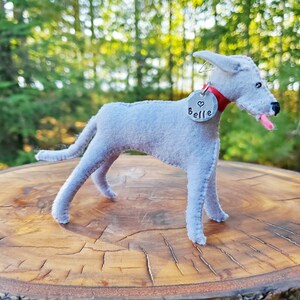 Pu&ograve; includere: Un giocattolo per cani in feltro grigio con un collare rosso e un'etichetta argentata che dice "Belle" con un simbolo di cuore.