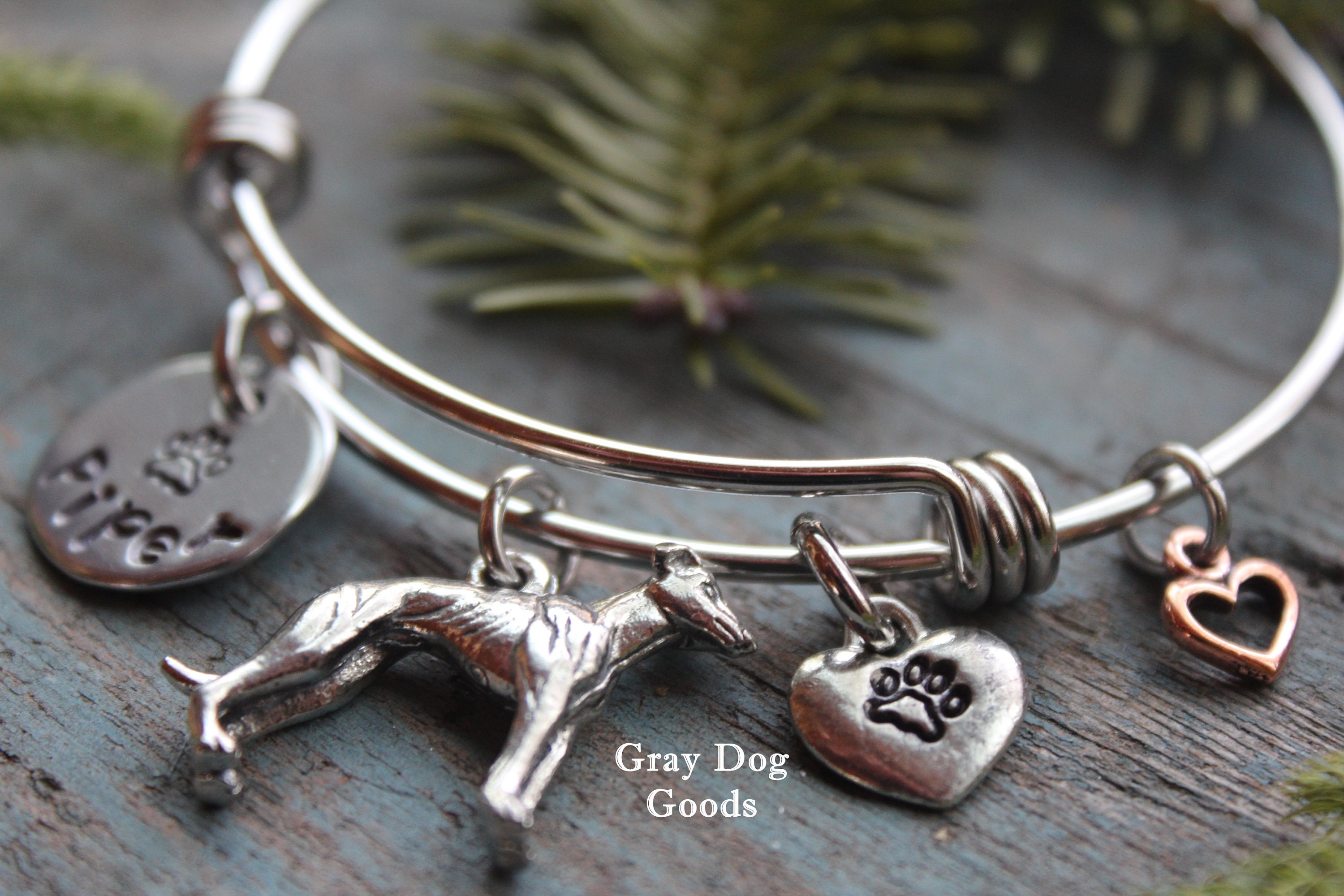 Does Greyhound Accept Prison Id Bracelets In Virginiapodcast All - 0qj5zqu