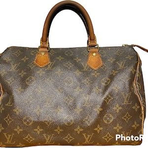 Louis Vuitton French Company Speedy Shoulder Bag 30 Brown Canvas Crossbody  Strap