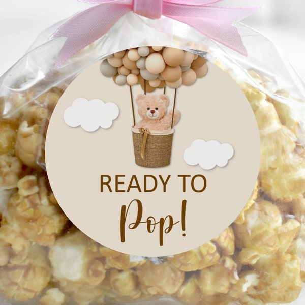 Ready To Pop Sticker Bear Baby Shower Hot Air Balloon Teddy Bear We Can Bearly Wait Popcorn Bag Labels Favor Tags Printable NOT Editable C14